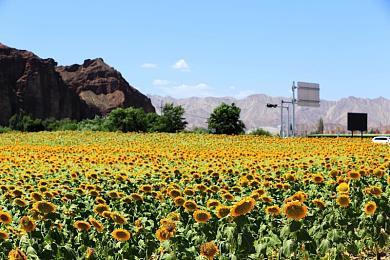 来场沉浸式高尔夫——《高尔夫小游记》今日发售